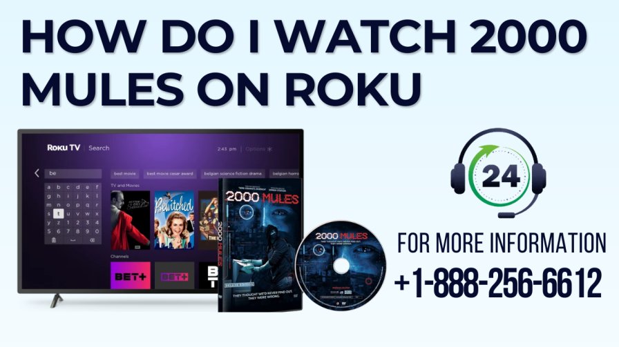 How Do I Watch 2000 Mules On Roku